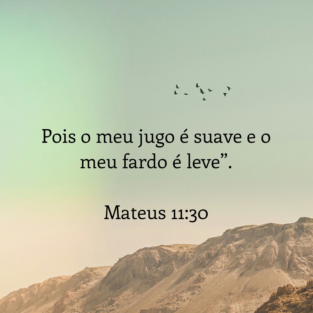 parceria com cristo no jugo