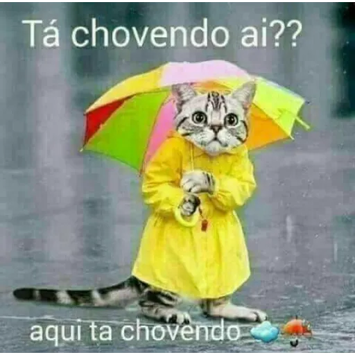 stickers de frio para whatsapp