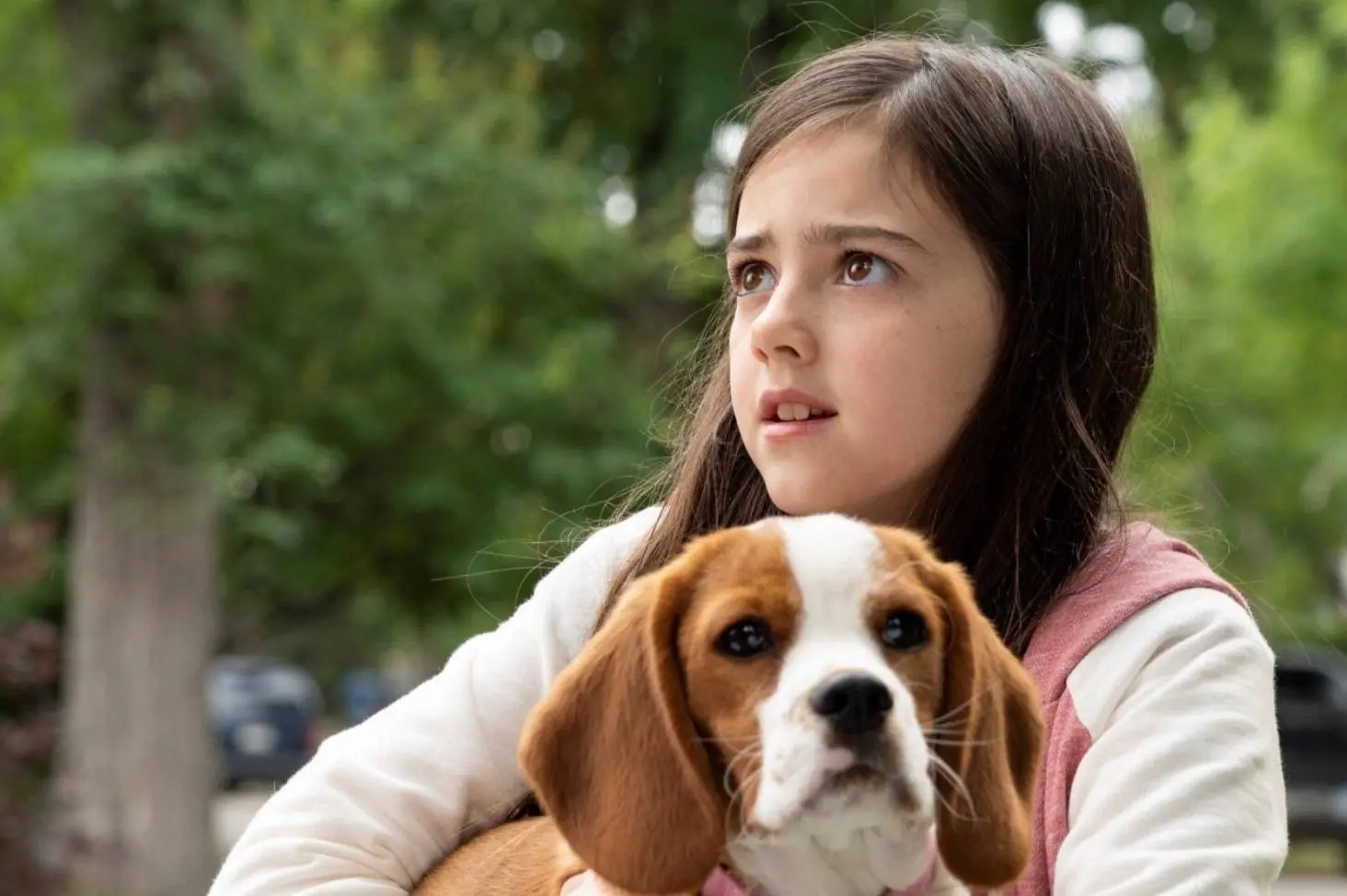 erros comuns ao escolher filmes de animais para crianças