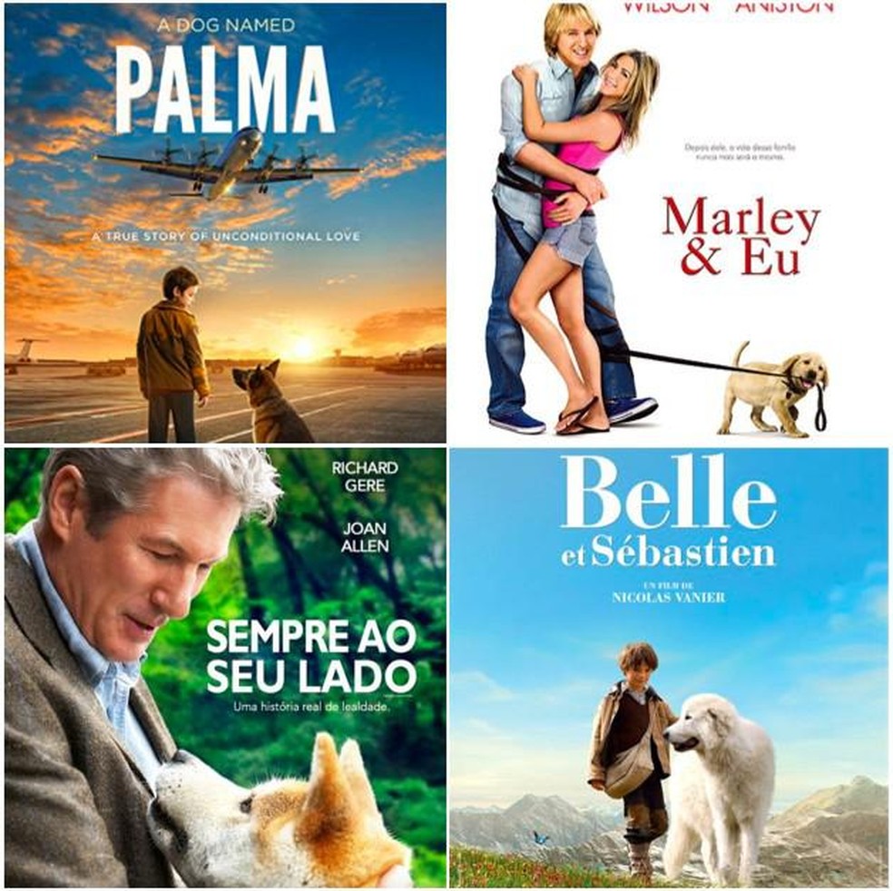 custo benefício filmes de animais para assistir com a família