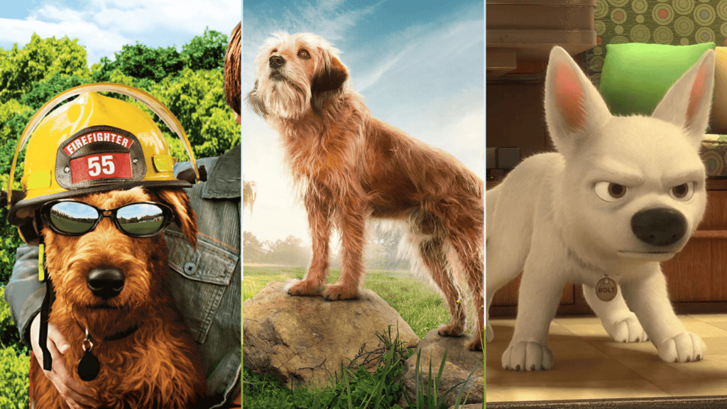 erros comuns ao escolher filmes de animais para crianças