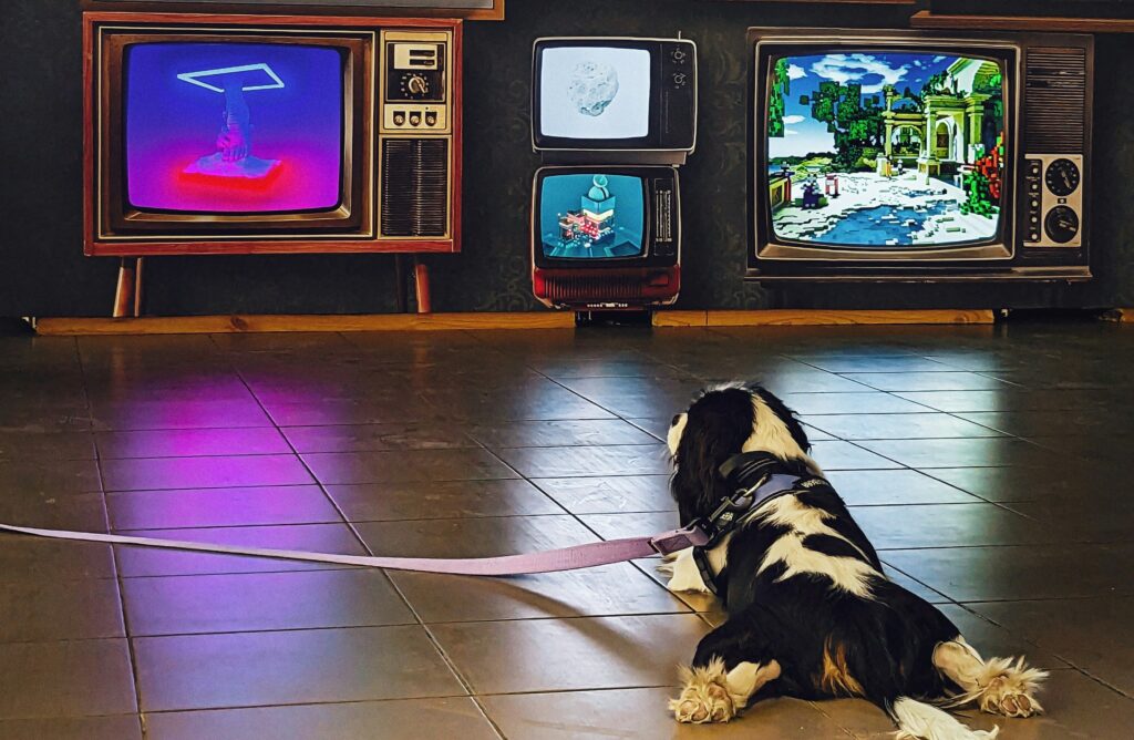 filmes de cachorro vs filmes de outros animais para crianças