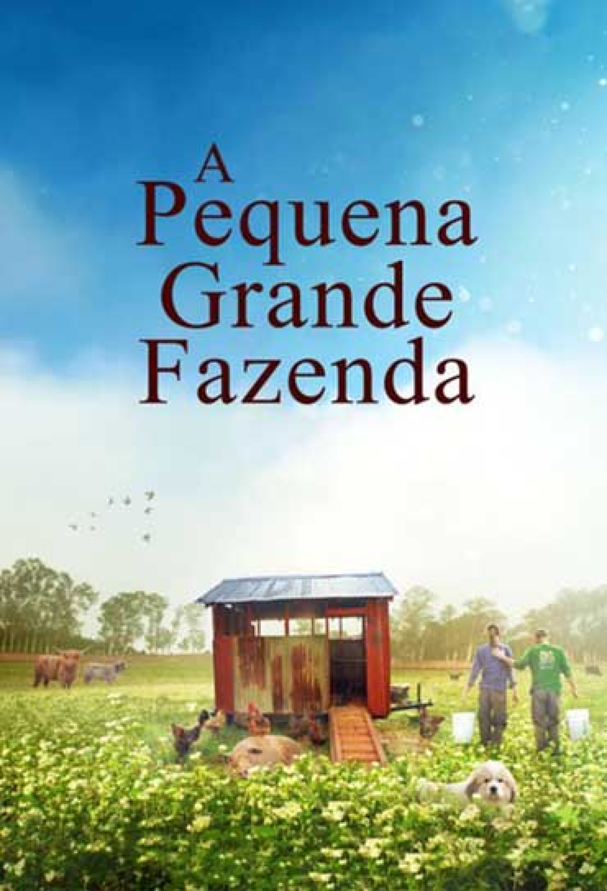 Como Encontrar Filmes de Romance em Fazendas Antigas: Dicas e Ferramentas