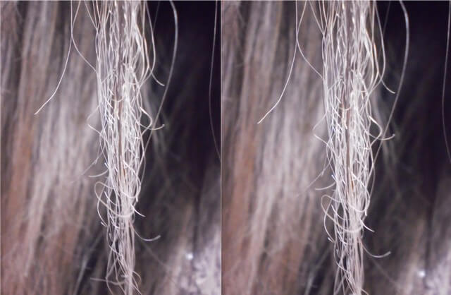 cabelo elástico depois das luzes