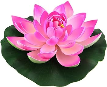 lótus rosa decoração