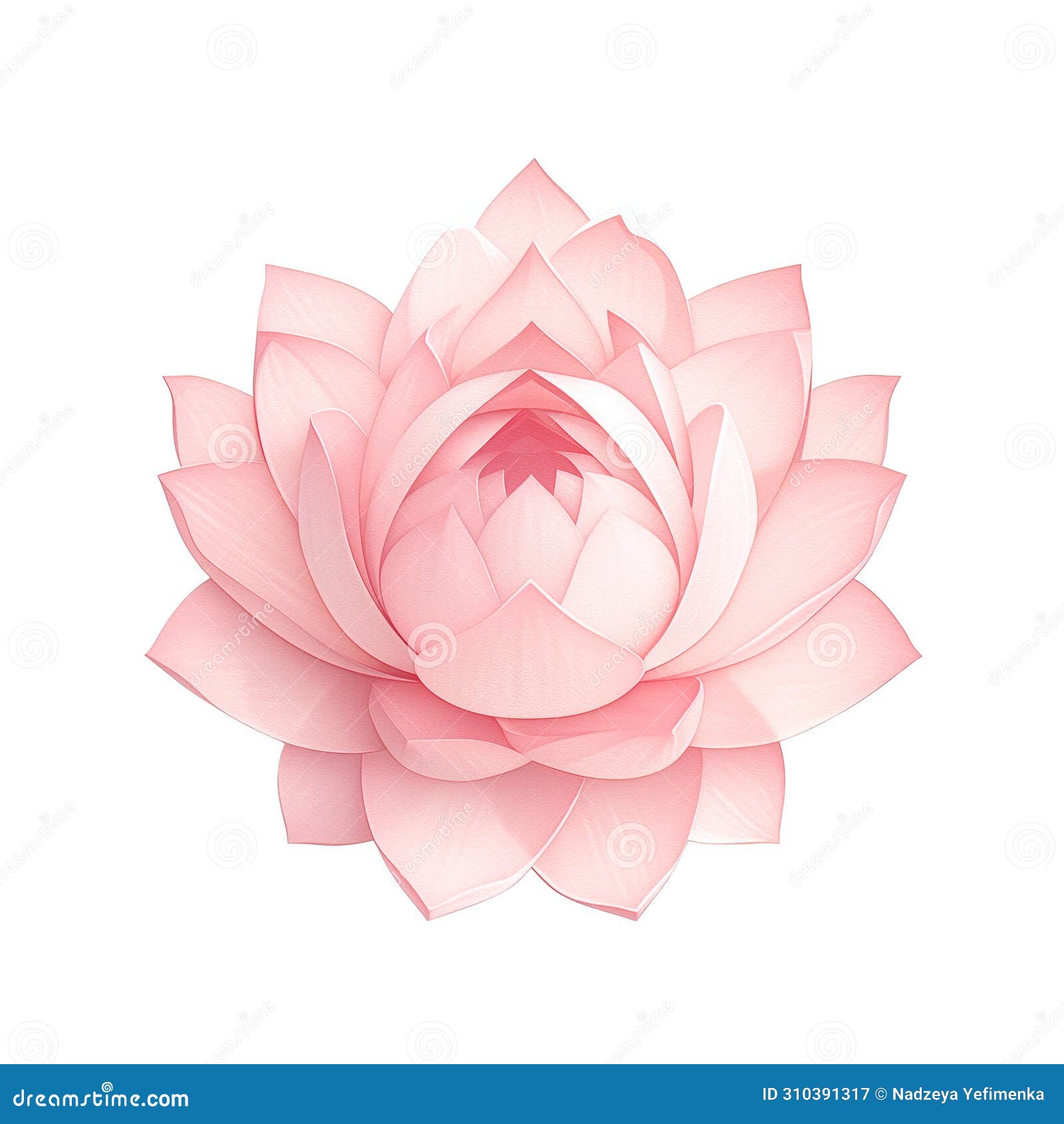 flor de lótus significado