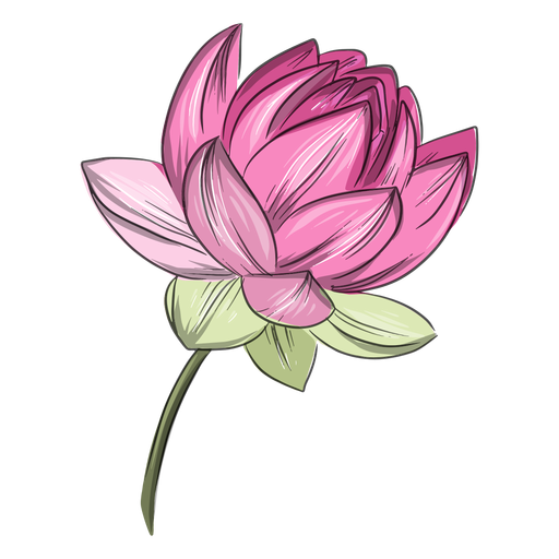 flor de lótus amarela significado