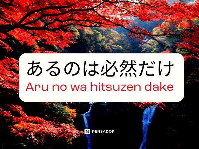 aprender japonês online