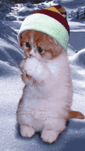 gif bom dia frio
