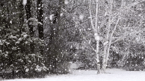 gif bom dia frio