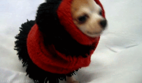 gif de inverno