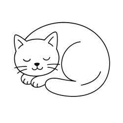 gatinho fofo desenho para colorir no pinterest