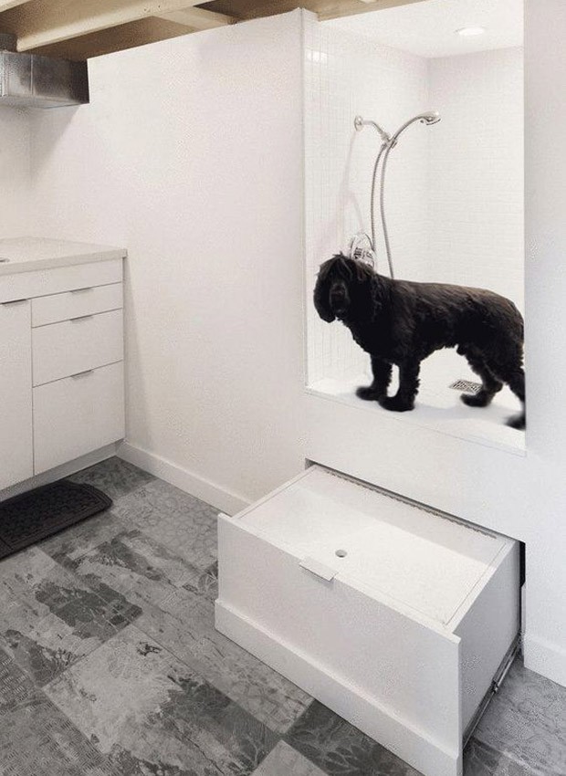 ideias criativas banho tosa em casa para lucrar