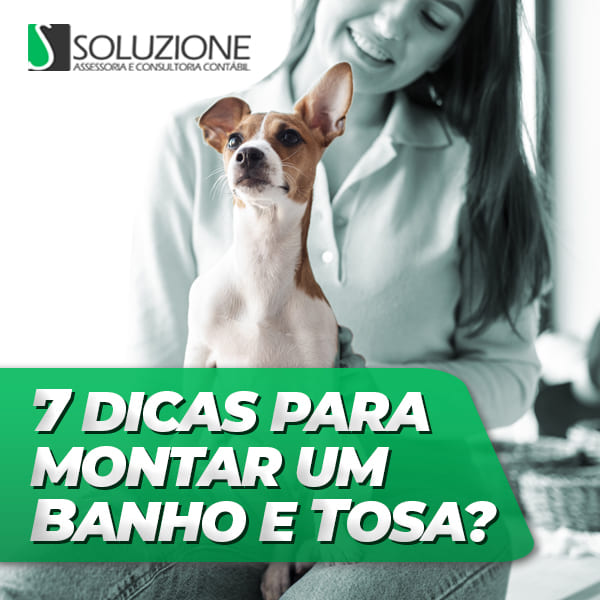 banho e tosa em casa versus pet shop qual o melhor