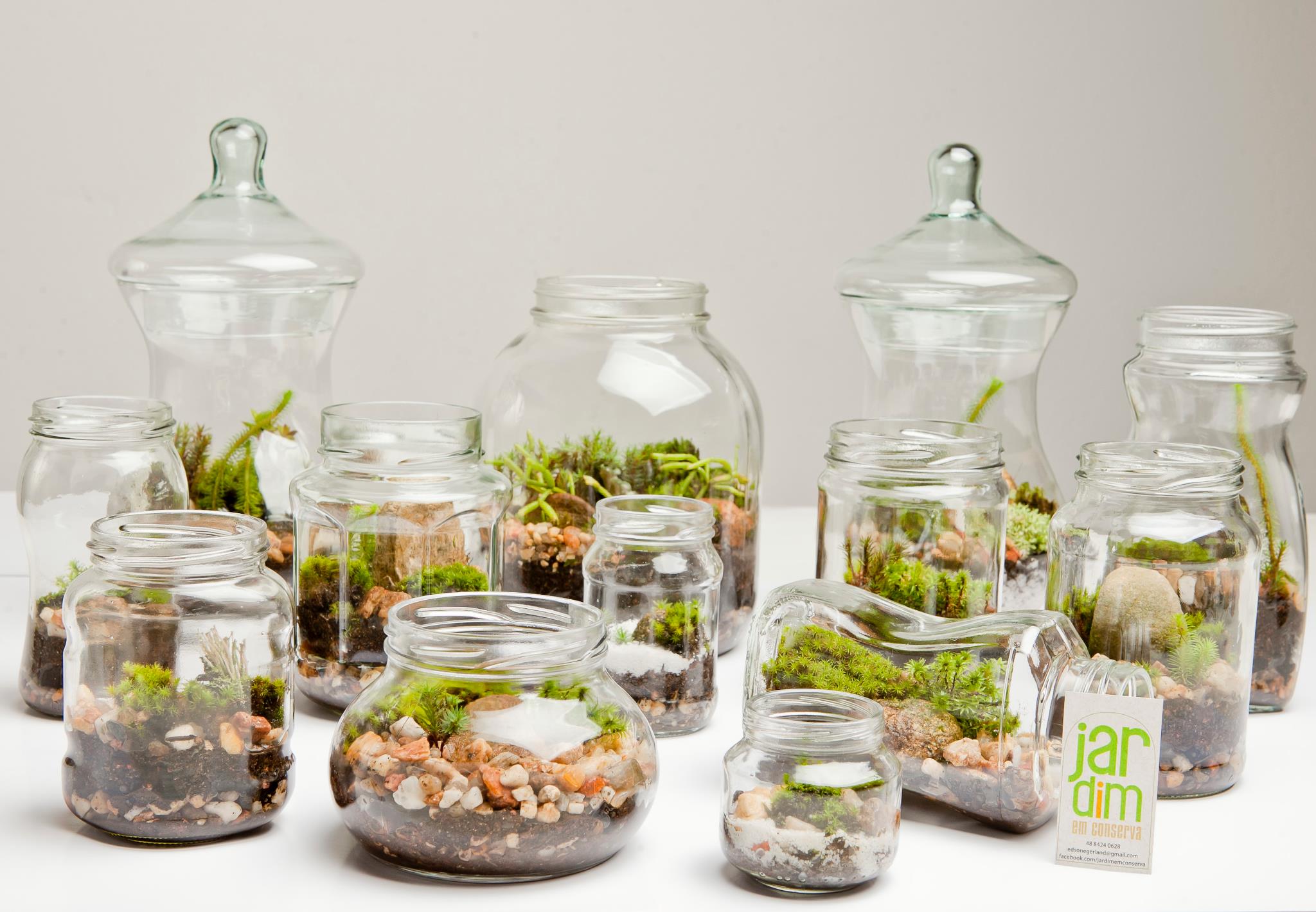 terrário ou mini jardim qual dá mais lucro