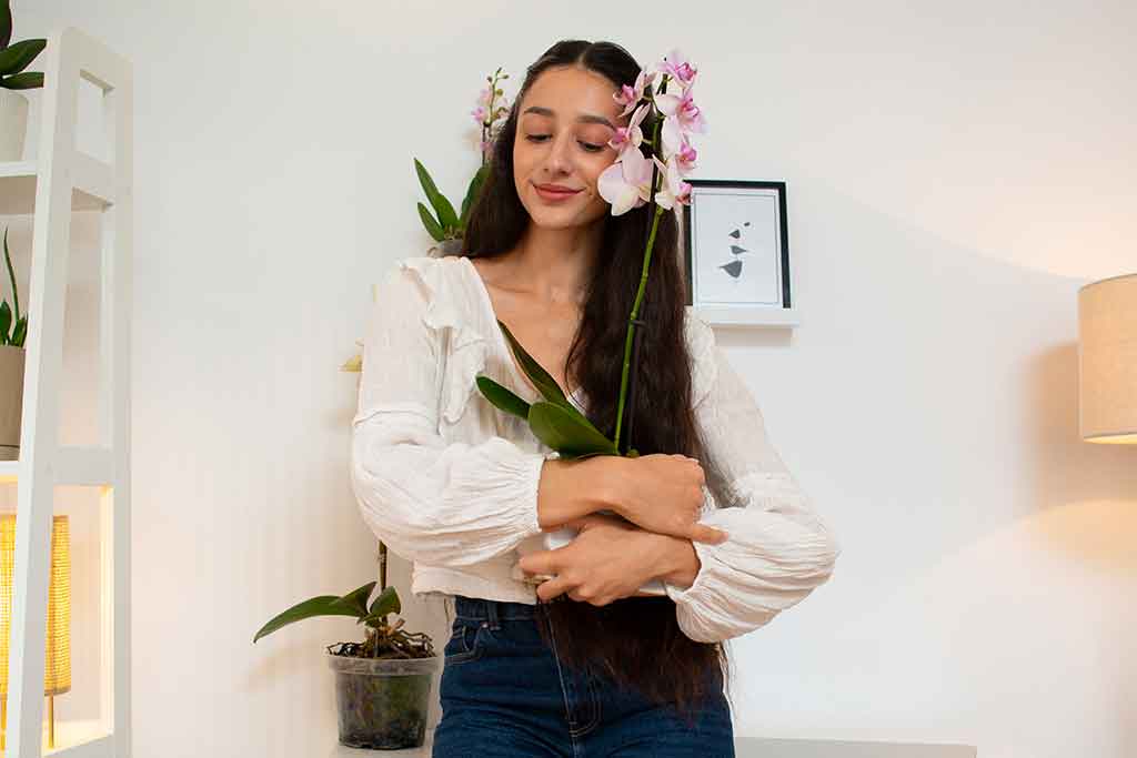 plantas que trazem boas energias para casa