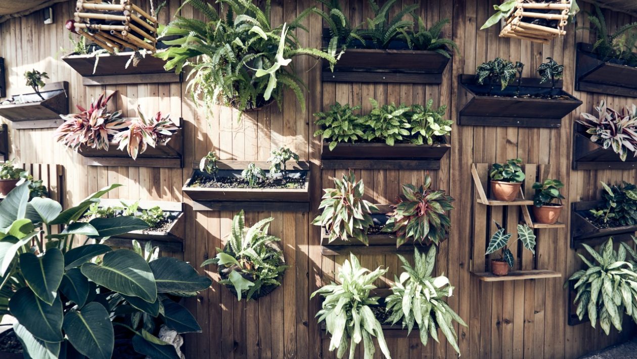 como fazer jardim vertical com pallet passo a passo