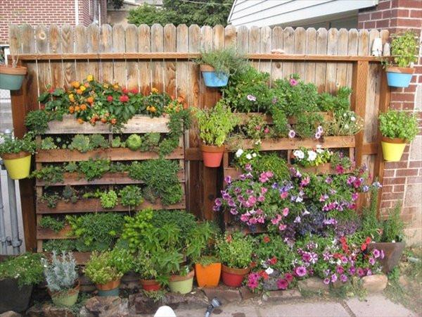 plantas para jardim vertical de pallet