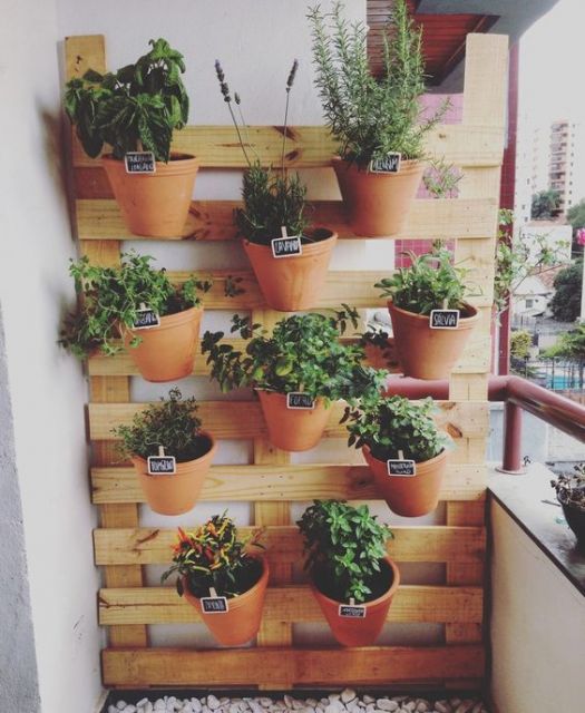 jardim vertical pallet interno