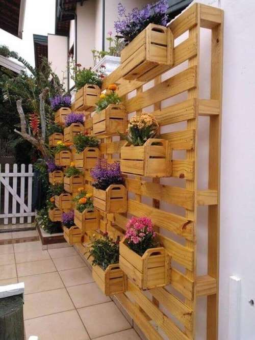 manutenção jardim vertical pallet