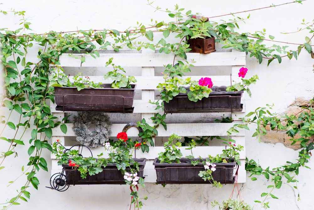 tratamento madeira pallet jardim