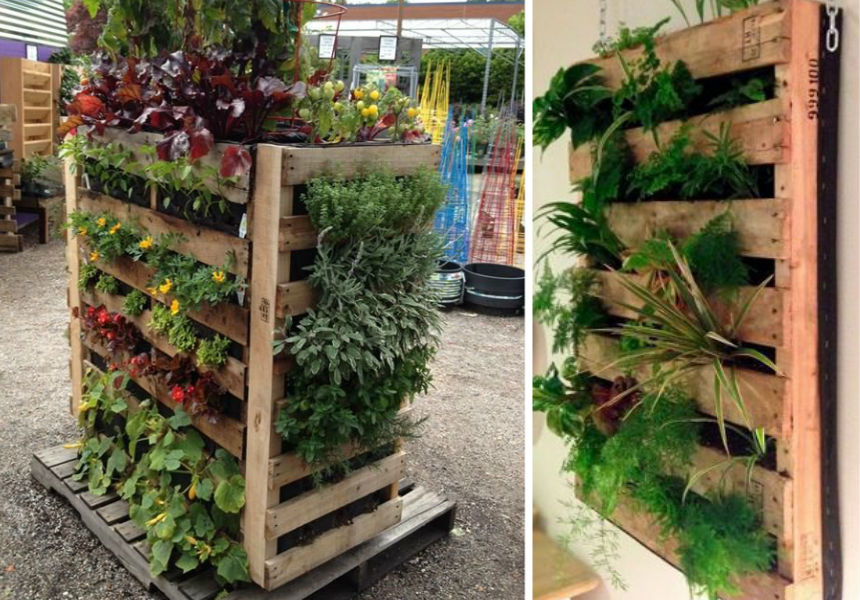 jardim suspenso com pallet
