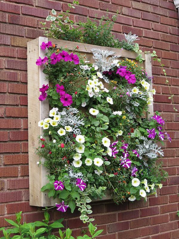 jardim vertical pallet barato