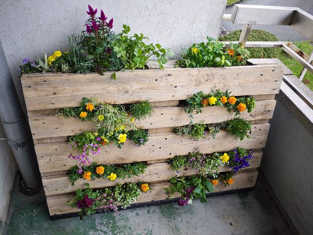 ideias criativas jardim vertical pallet