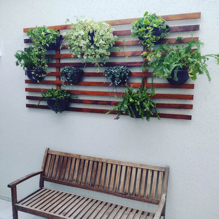 plantas para jardim vertical de pallet