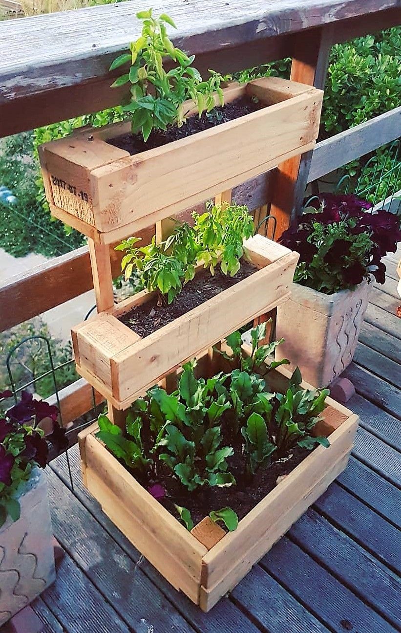 jardim suspenso com pallet
