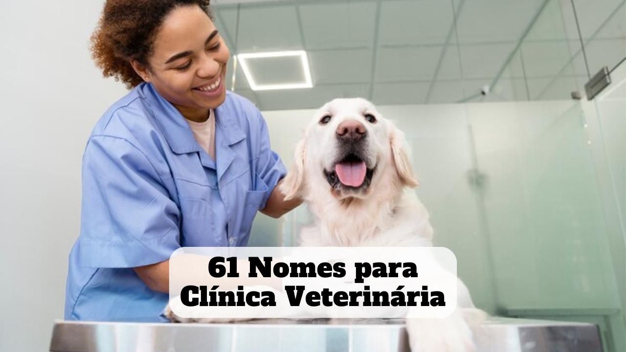 quanto custa registrar nome clínica veterinária