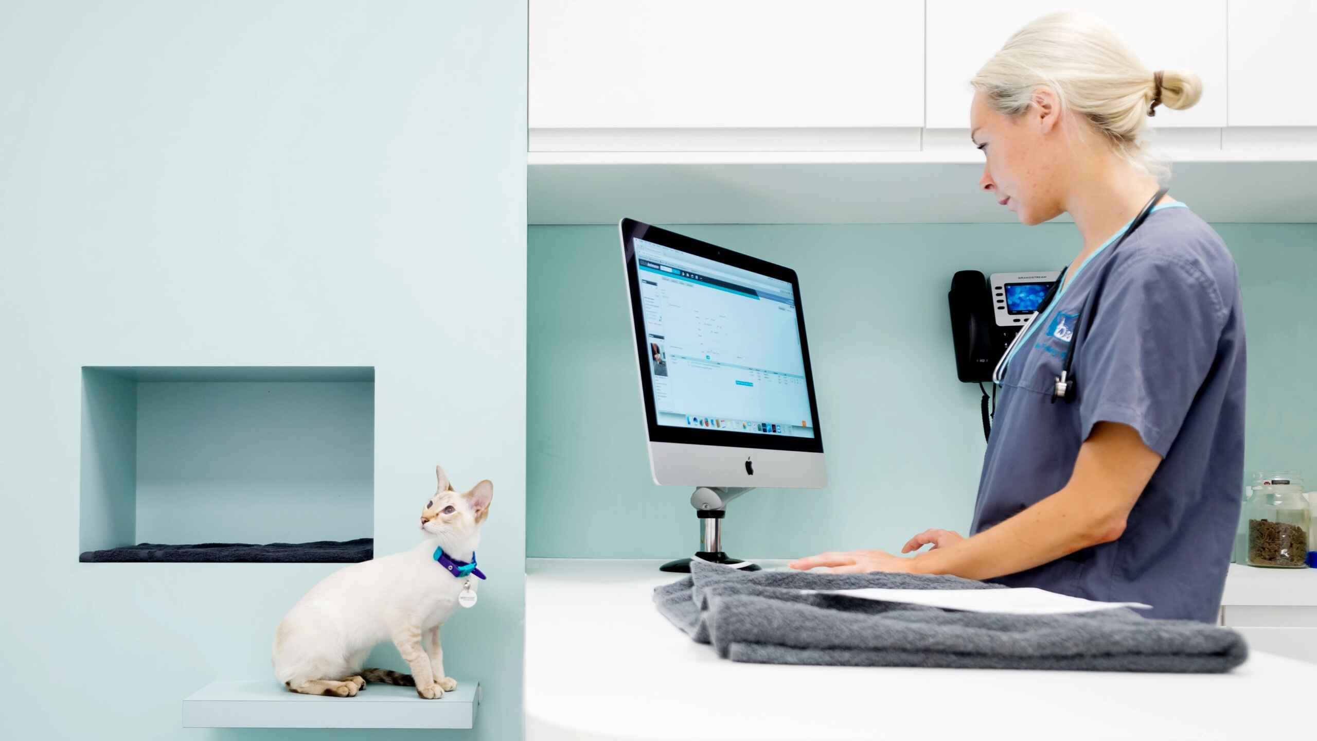 ideias de nomes para clínica veterinária