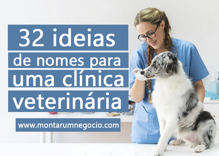 nomes de clínicas veterinárias vs pet shops