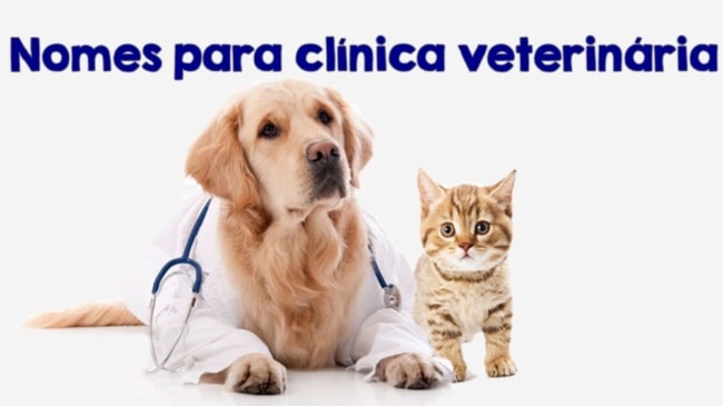 quanto custa registrar nome clínica veterinária