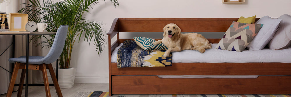 Decoração de Quarto de Solteiro com Bicama: Maximizando o Espaço