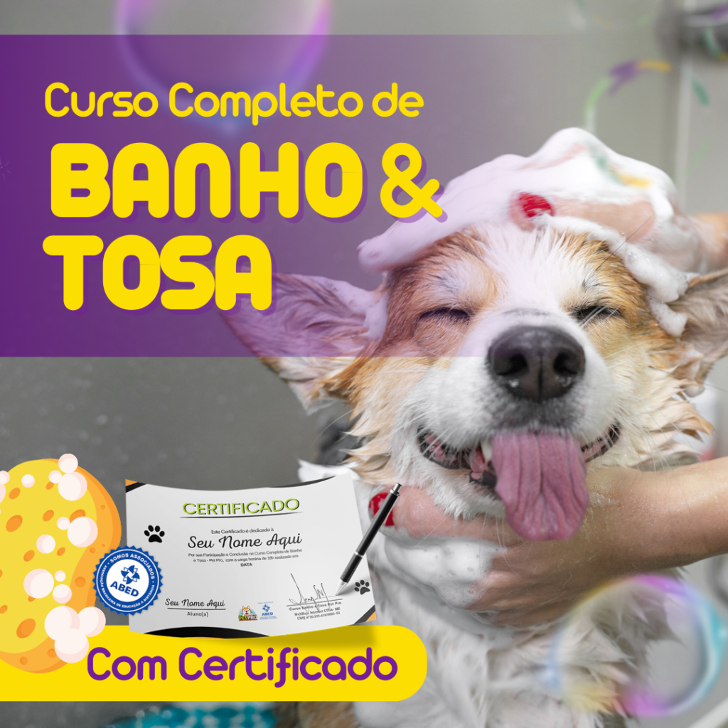 ideias de renda extra com banho em pets em domicílio