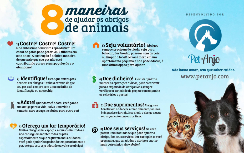 ideias criativas para banho e tosa em casa