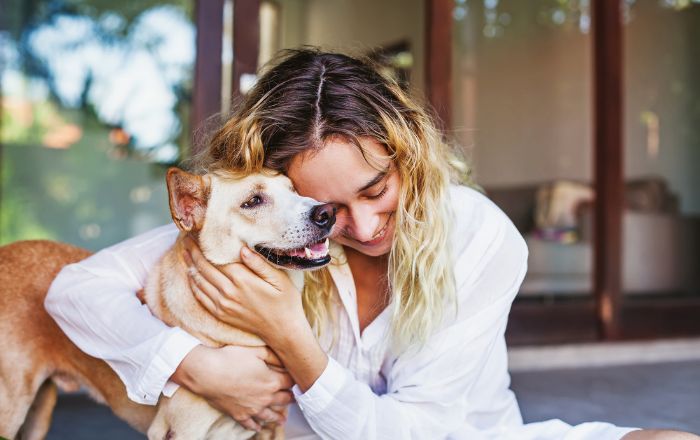 erros comuns ao dar banho em pet em domicílio