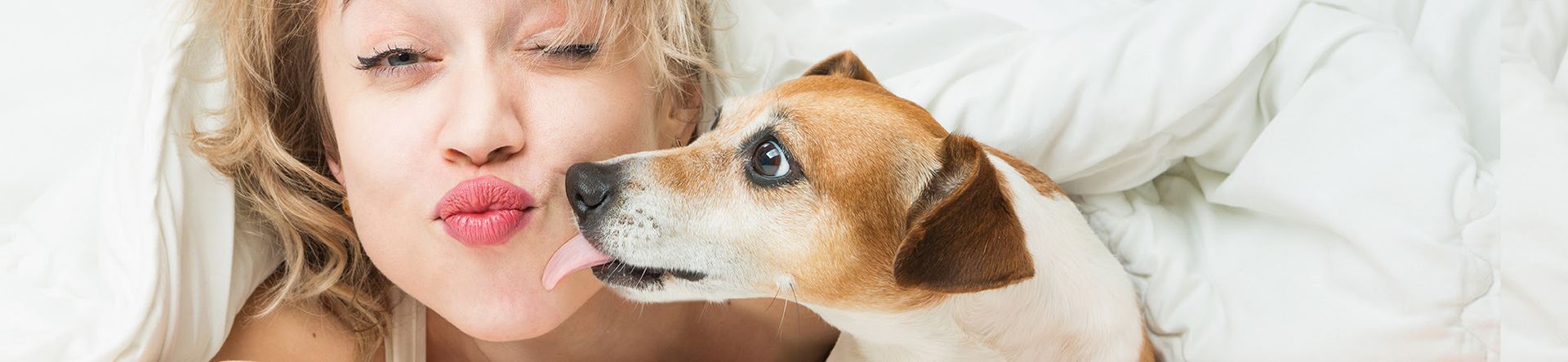 banho e tosa em pet shop ou em domicílio qual o melhor