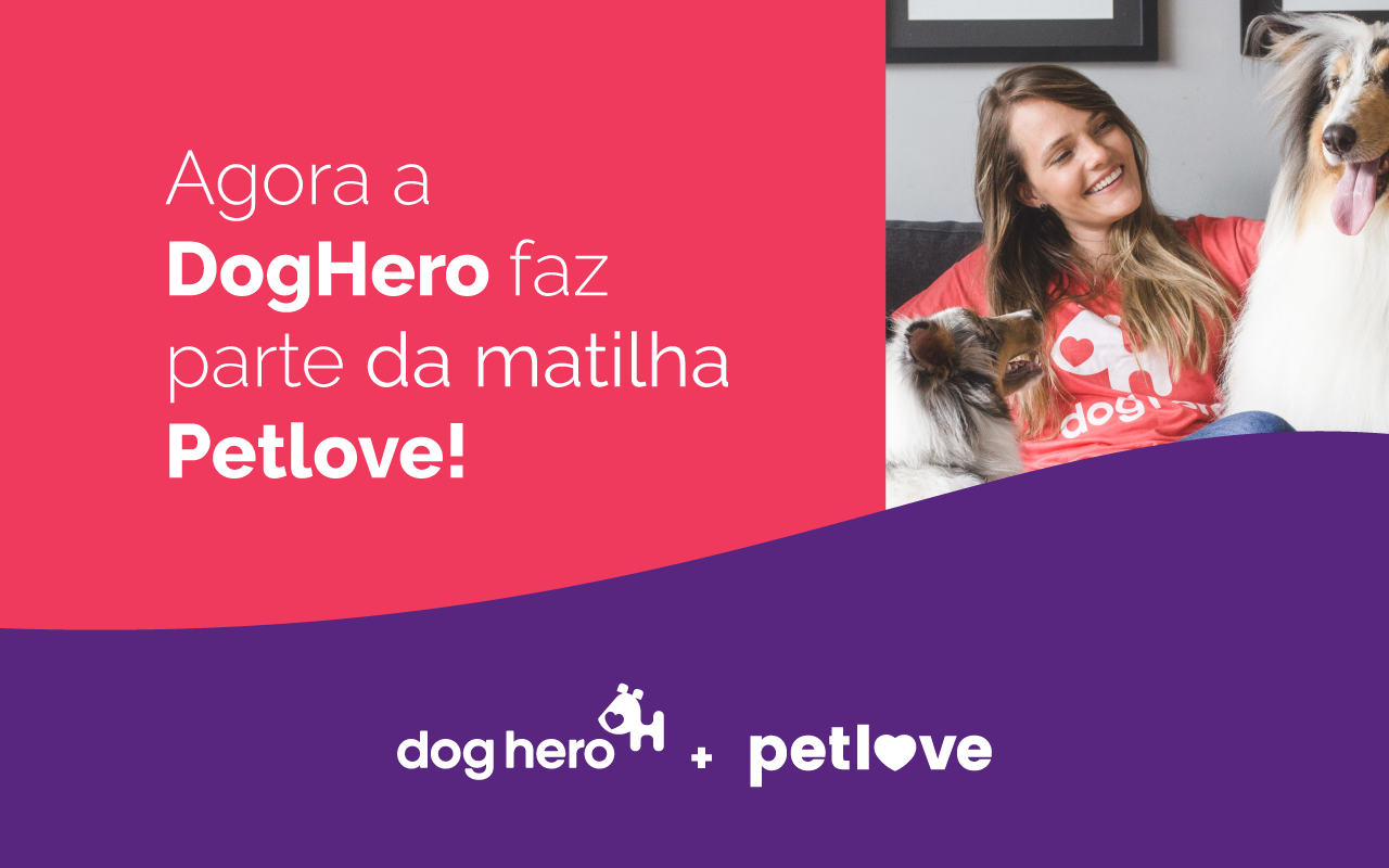 erros comuns ao iniciar como pet sitter e como evitá-los