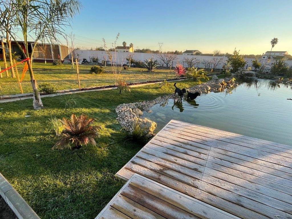 ideias criativas renda extra jardinagem