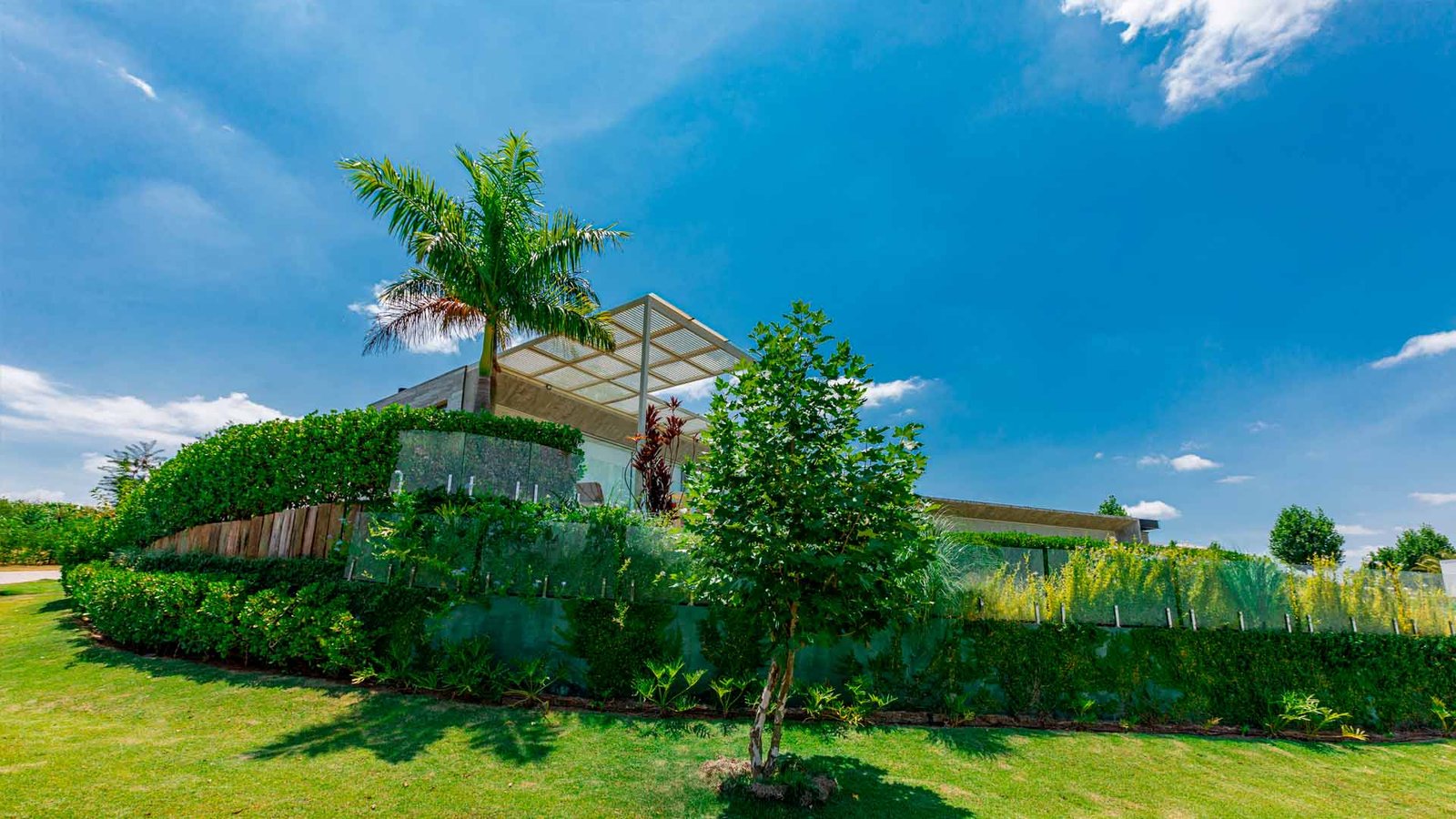 jardinagem vs paisagismo qual dá mais dinheiro