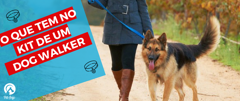 ideias de renda extra com passeador de cães (dog walker)