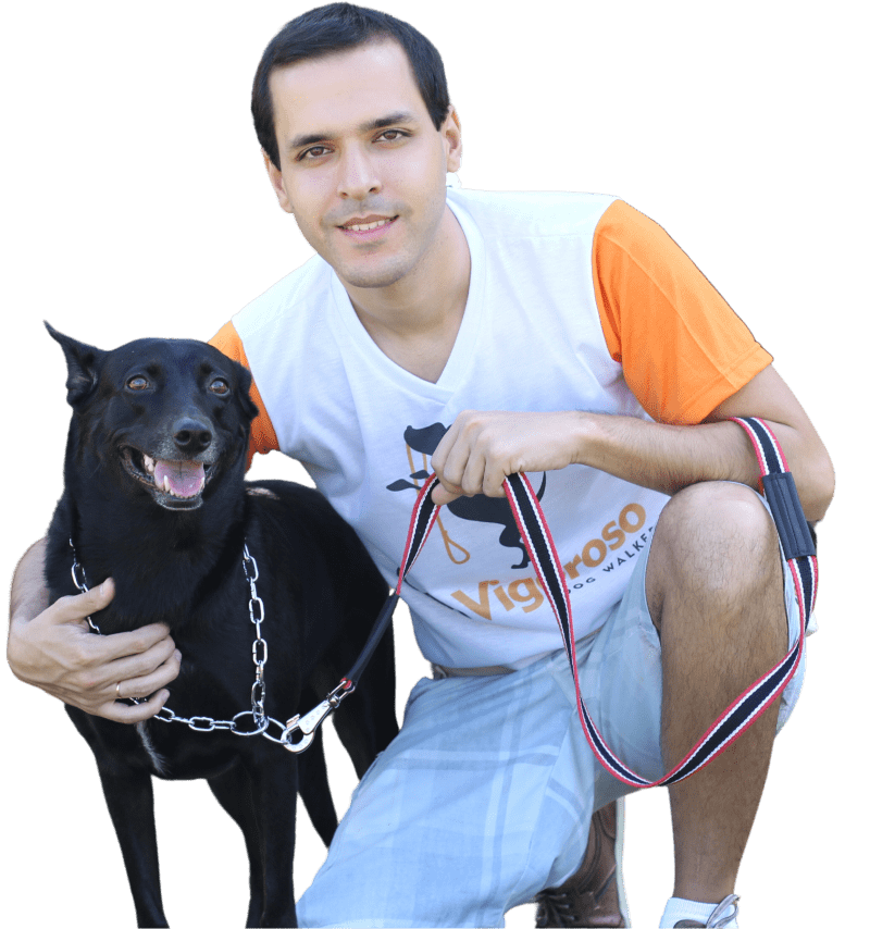 5 Dicas para Criar Conteúdo de Sucesso nas Redes Sociais como Dog Walker