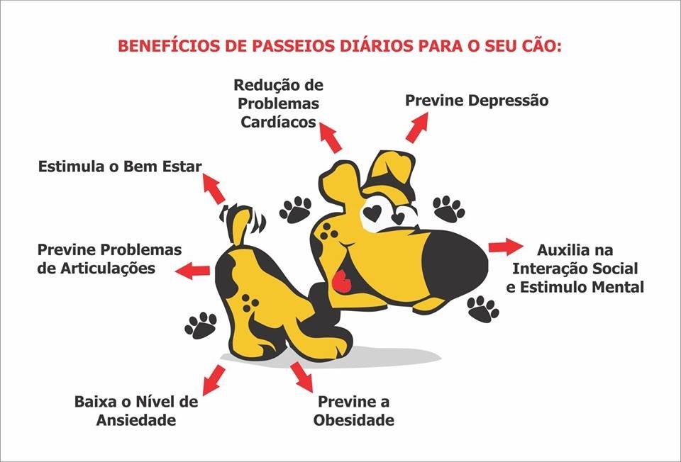 Como Oferecer Pet Sitting e Hospedagem para Aumentar sua Renda