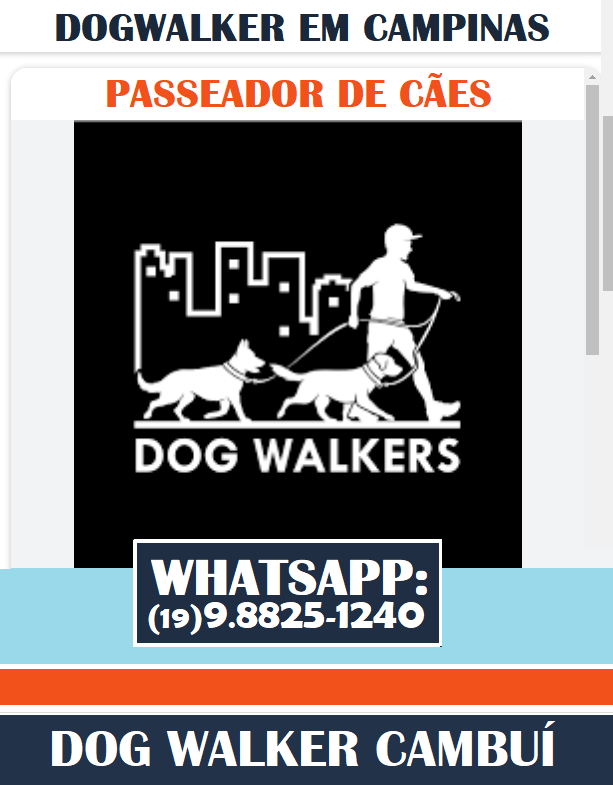 5 Dicas para Criar Conteúdo de Sucesso nas Redes Sociais como Dog Walker