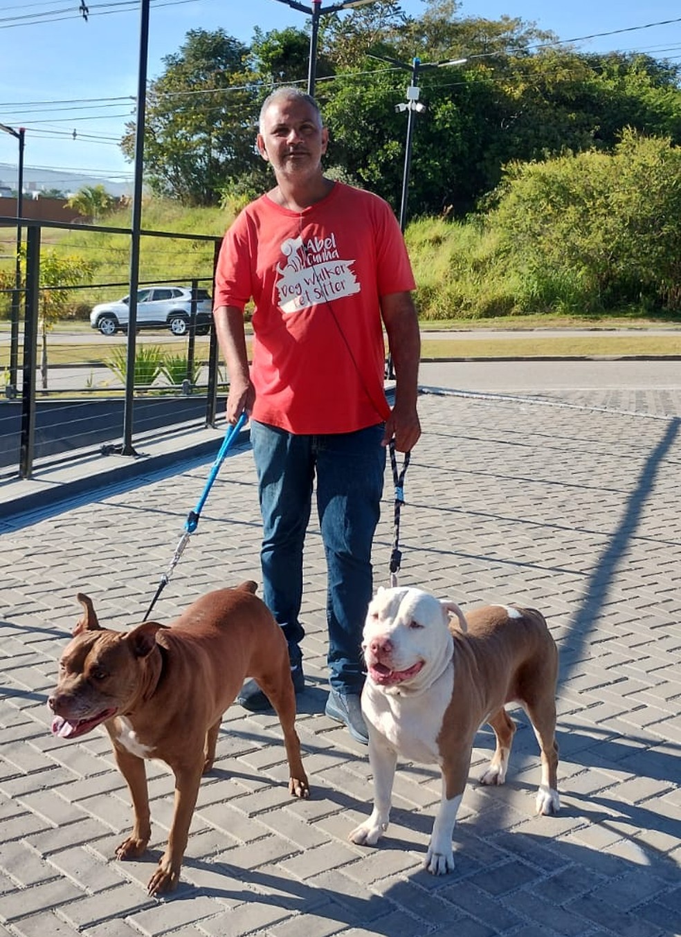 A Importância do Táxi Pet: Um Serviço Essencial para Tutores Ocupados