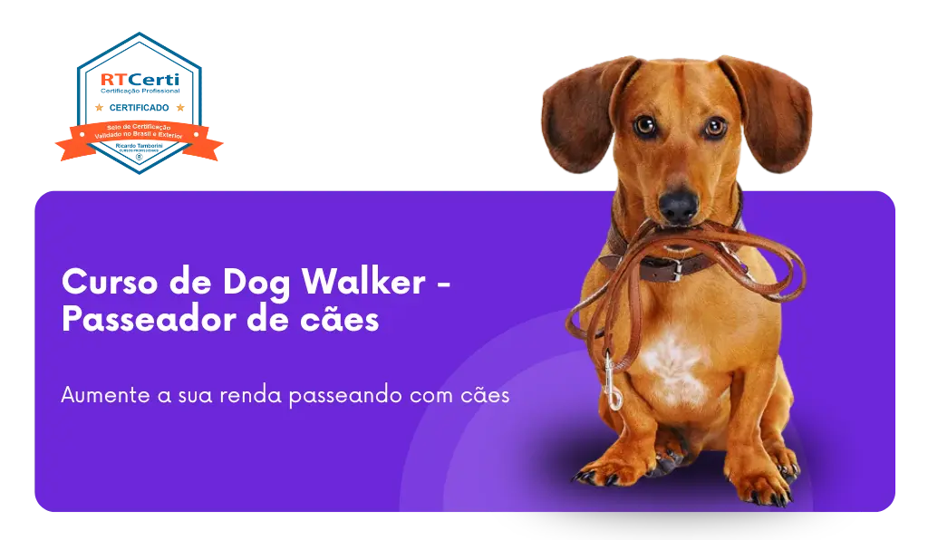 5 Dicas para Criar Conteúdo de Sucesso nas Redes Sociais como Dog Walker