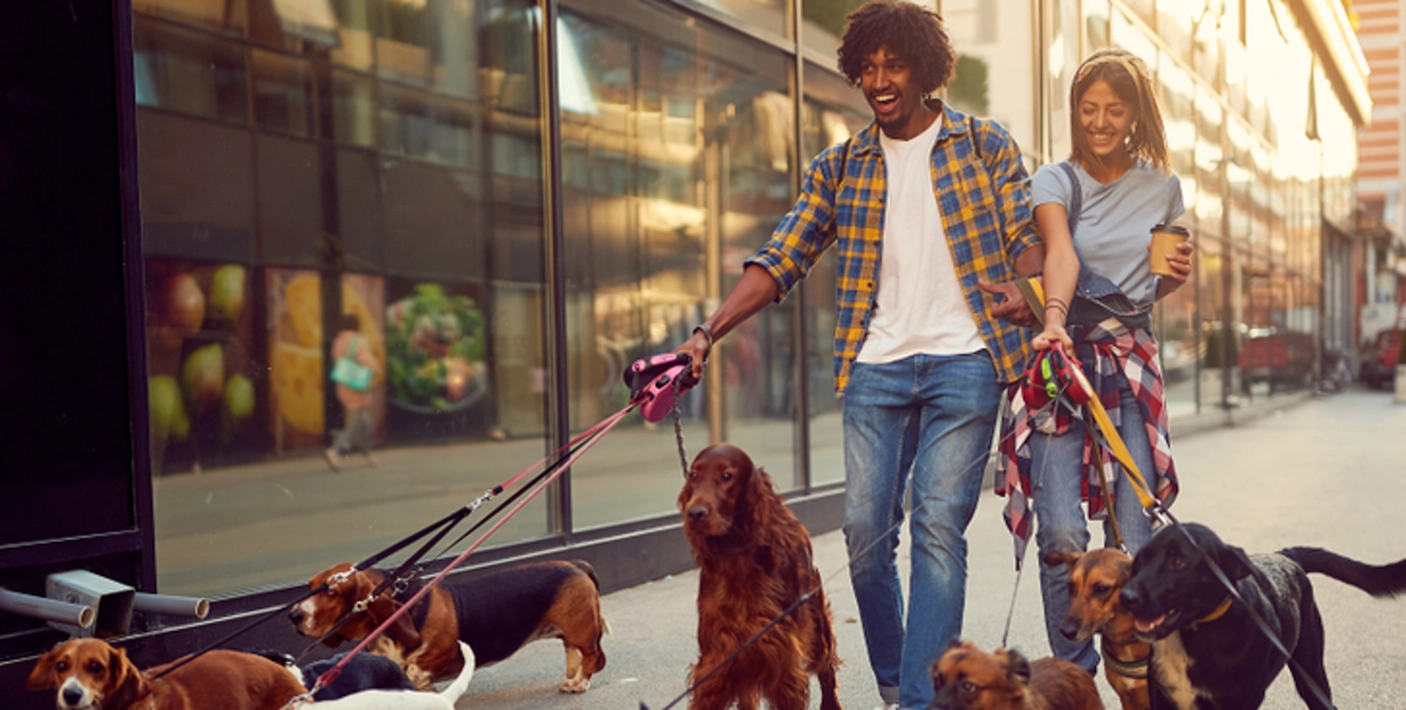 Como Oferecer Pet Sitting e Hospedagem para Aumentar sua Renda