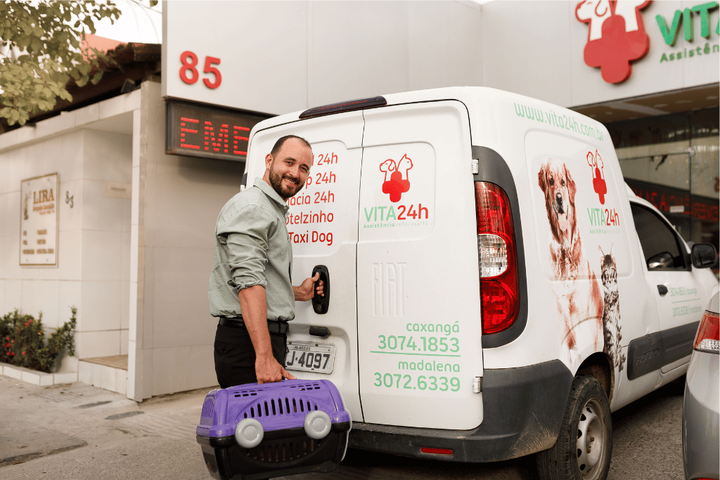 ideias de renda extra com táxi dog (transporte de pets)